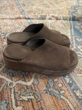 Seychelles Goodies Platform Sandal